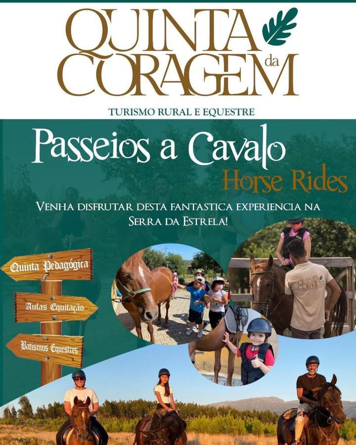 Casa D'Avo Coragem Apartment Seia Bagian luar foto